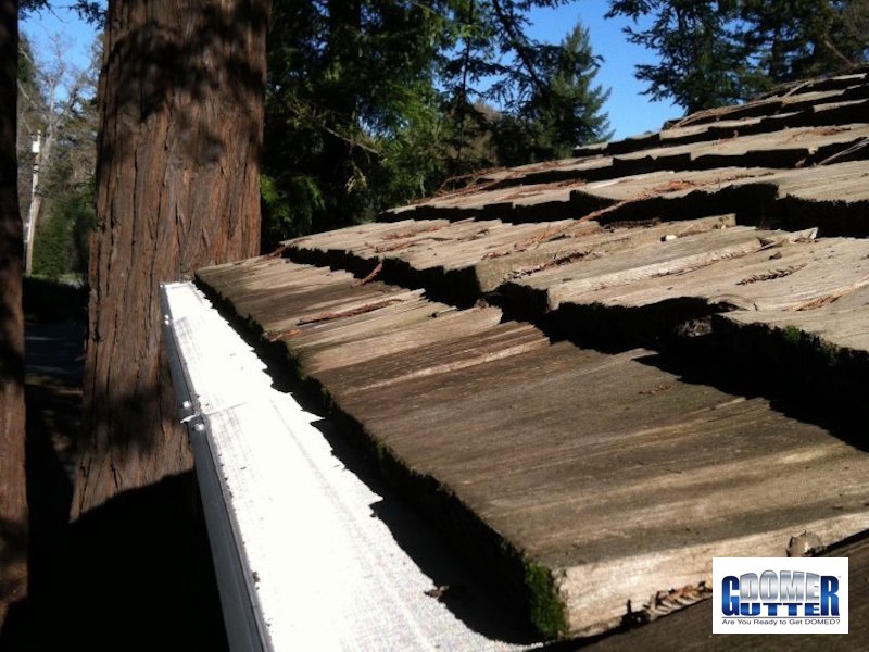 GutterDome - GD45 - Cedar Shake - Pine Tree & Logo