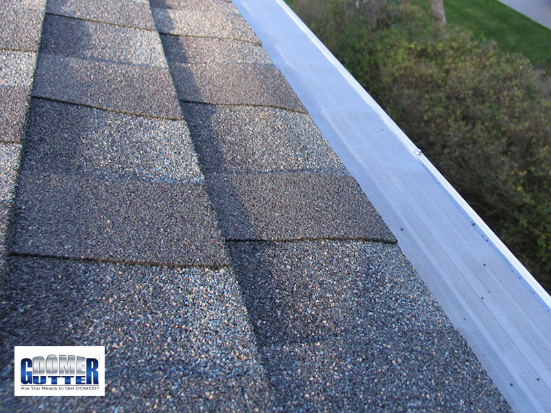 GutterDome - GD45 - Comp Shingle - Bush & Logo