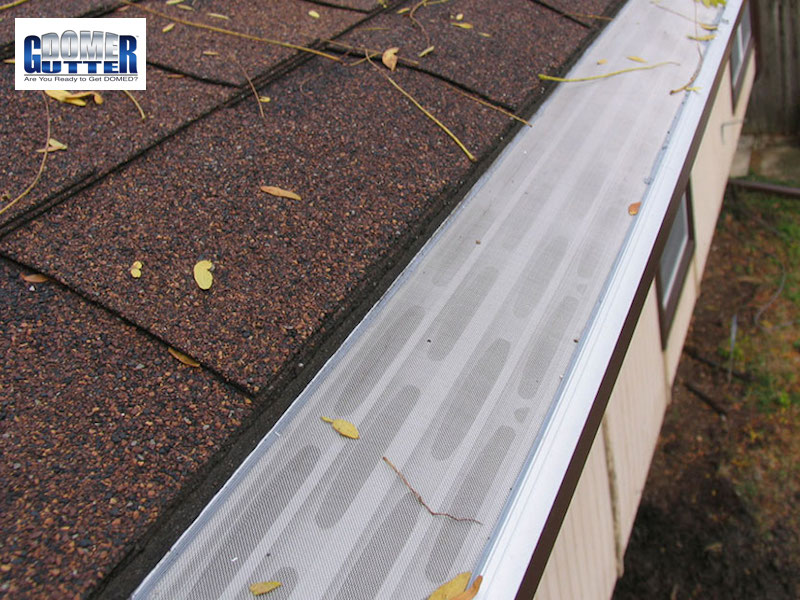 GutterDome - GD45 - Comp Shingle - Light Debris & Logo