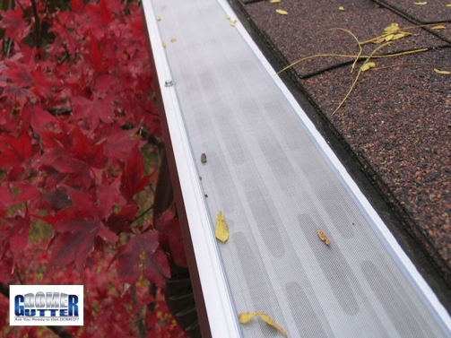 GutterDome - GD45A with Clynch Channel - Comp Shingle - Red Leaves & Logo