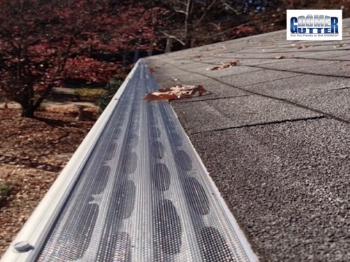 GutterDome - GD45M Magma - Comp Shingle & Logo