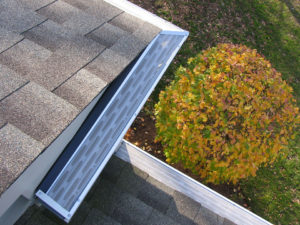 Gutter Cleaning Rochester NY