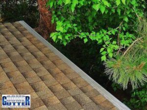 GutterDome micro-mesh guard keeping pine needles and leaves out of the gutter.