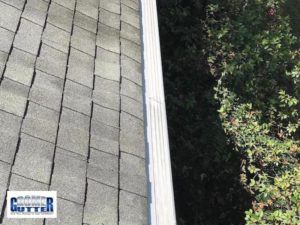 GutterDome guard on a shingle roof above shrubs.