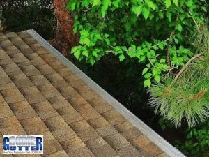 Leaves and pine needles sitting on a GutterDome gutter guard over composite shingles