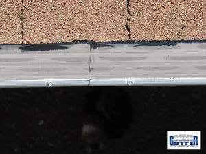 Close-up of the GutterDome dome profile and stainless-steel wire mesh on an asphalt shingle roof