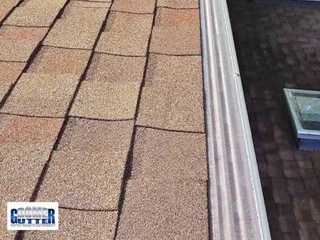 Asphalt shingle roof with GutterDome gutter guard — skylights.