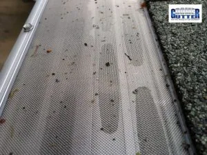 Super close view of shingle grit collecting on a GutterDome gutter guard