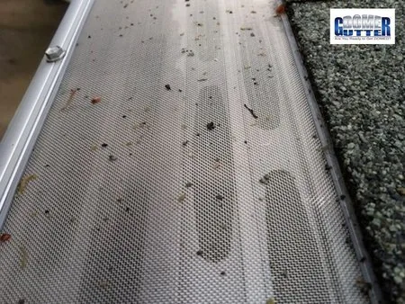 Asphalt shingle roof with GutterDome gutter guard — super close with roof grit.