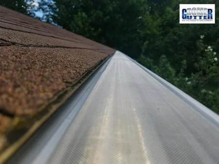 Asphalt shingle roof with GutterDome gutter guard — trees - super close up.