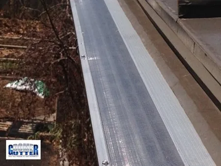 Standing seam metal roof with GutterDome gutter guard — backyard.