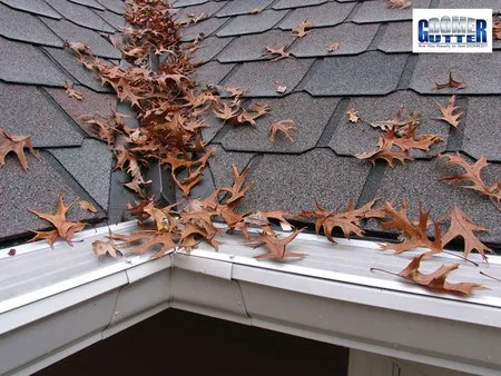 Asphalt shingle roof with GutterDome Adjustable gutter guard — inside corner.