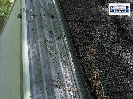 Asphalt shingle roof with GutterDome Adjustable gutter guard — pine needles - close.