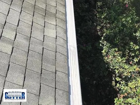 Asphalt shingle roof with GutterDome Adjustable gutter guard — shrubs.