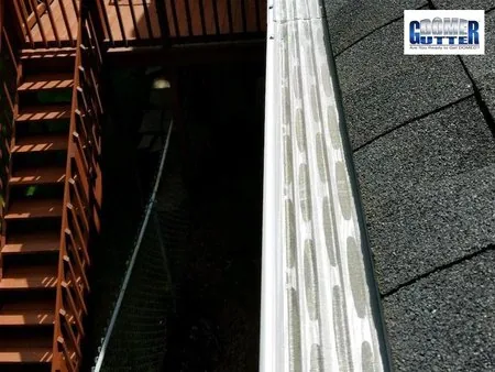 Asphalt shingle roof with GutterDome Adjustable gutter guard — stairs.