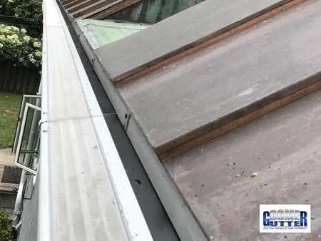 Standing seam metal roof with GutterDome Adjustable gutter guard — half round - backyard.