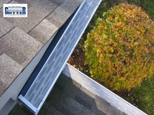 Gutter Cleaning Rochester NY