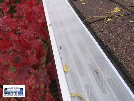 Asphalt shingle roof with GutterDome Adjustable gutter guard — red leaves.
