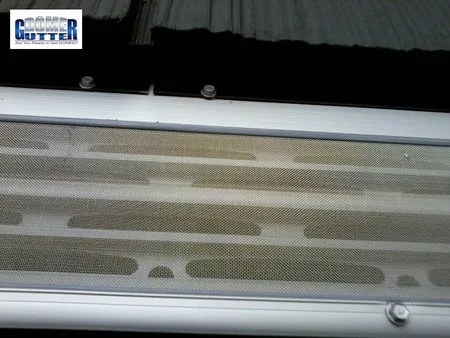 Shake roof with GutterDome Adjustable gutter guard — super close.
