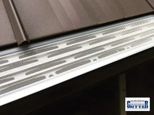 Gutter Cleaning