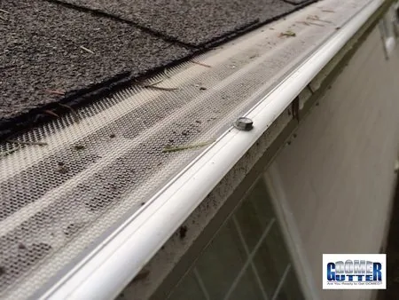 Asphalt shingle roof with GutterDome Magma gutter guard — pine needles - close.