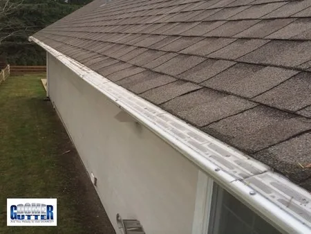 Asphalt shingle roof with GutterDome Magma gutter guard — straight run.