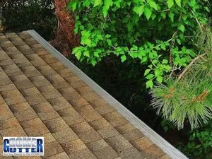 GutterDome gutter guard keeping leaves and pine needles out