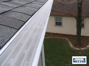 GutterDome gutter guards installed on a home roof