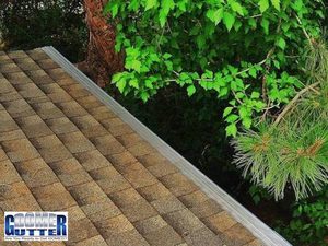 GutterDome micro-mesh guard on a comp-shingle home surrounded by pine and leaf trees