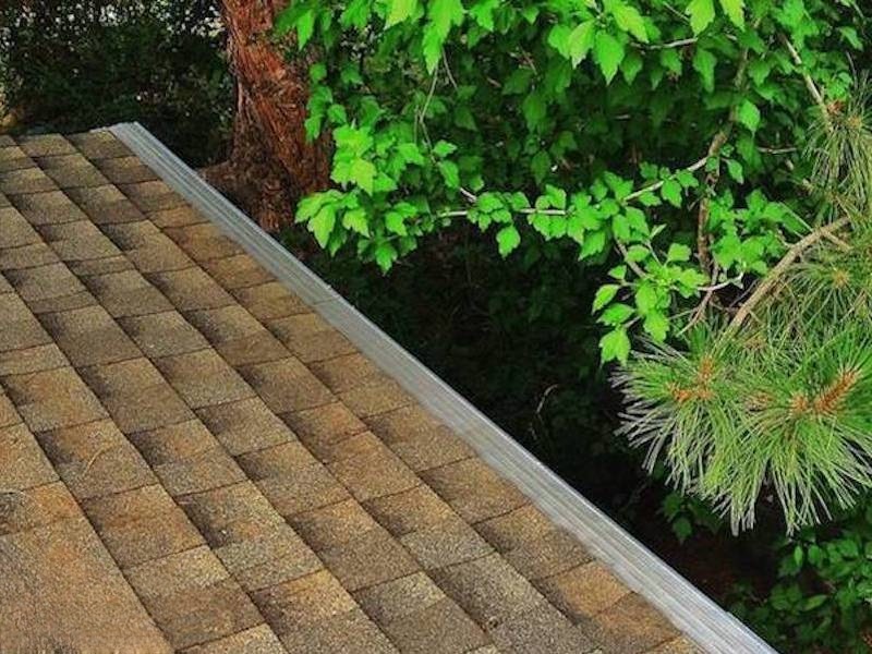 Asphalt shingle roof with GutterDome gutter guard — leaves & pine needles