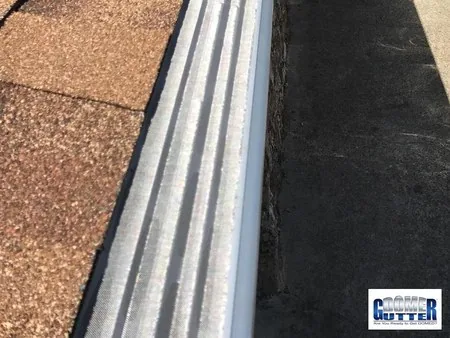Asphalt shingle roof with GutterDome Adjustable gutter guard — run in deep shade along the eave.