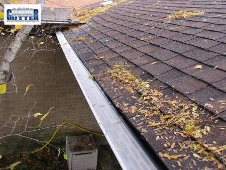 Asphalt shingle roof with GutterDome Adjustable gutter guard — view through a tree branch.