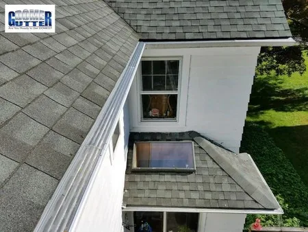Asphalt shingle roof with GutterDome gutter guard — second-story backyard run near a skylight.