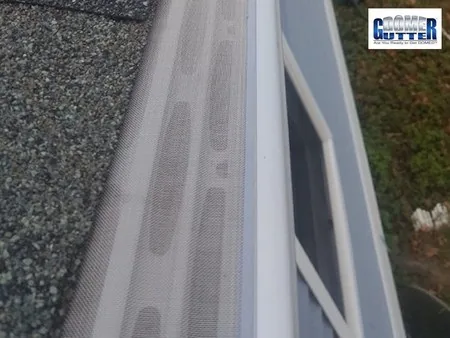 Asphalt shingle roof with GutterDome gutter guard — run above ground cover, blue siding behind.