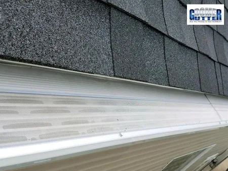 Asphalt shingle roof with GutterDome gutter guard — straight run along the seam.