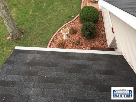 Asphalt shingle roof with GutterDome gutter guard — top view from above, past two bushes.