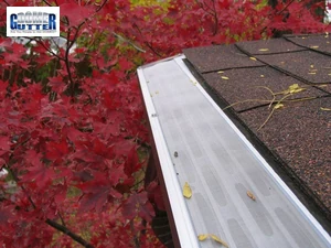 Best Gutter Guards